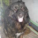 ���� �������, �����, 62 ���� - ��������� 8 ����� 2013 � ������ ���� �������� �� �����