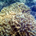 ���� ����, �������-��������� - ��������� 30 ������ 2012 � ������ ��� �������� �������. �.������ ������2012�.�