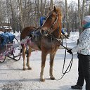 ���� Val, ������, 51 ��� - ��������� 28 ���� 2012 � ������ �����������2012�