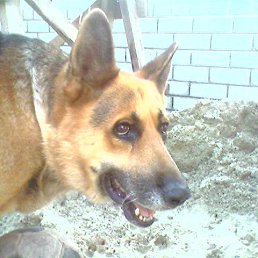 ���� �������, ���������, 57 ��� - ��������� 12 ������� 2012