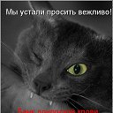 ���� Irisk@, ������ - ��������� 22 ���� 2011 � ������ �������