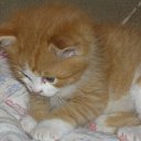 ���� �������, ���������, 24 ���� - ��������� 3 ������� 2011 � ������ ���� �����