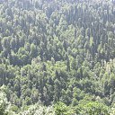 ���� ��������, ������, 67 ��� - ��������� 29 ���� 2013 � ������ ���� ����������