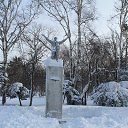 ������ ���� ����-��������� �� ������� ���������