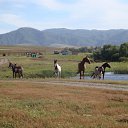 ���� ������, ������, 54 ���� - ��������� 17 ������� 2010 � ������ �����������