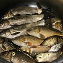 ���� ������, �������, 56 ��� - ��������� 10 �������� 2011 � ������ �������