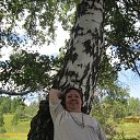 ���� ���, �����������, 66 ��� - ��������� 4 ������ 2012 � ������ ���� ����������