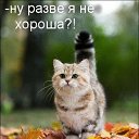 ���� ������, ���������, 60 ��� - ��������� 3 ���� 2012 � ������ ���� ����������