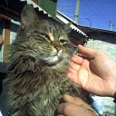 ����� ����� �� ������� ���� �����