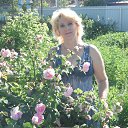 ���� ������, ������������, 63 ���� - ��������� 25 ������ 2013