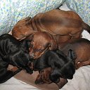 ...������� ��� ����������....����� ���������....� ��� - �������... �� ������� ���� ����������