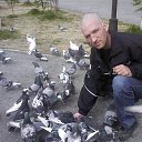 ���� ������, ����������, 48 ��� - ��������� 18 ����� 2010