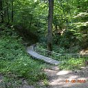 ���� �������, ���������, 71 ��� - ��������� 29 ���� 2013 � ������ ��-�. ������� �����