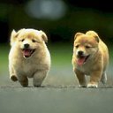 ���� �������, ������, 38 ��� - ��������� 18 ������ 2012 � ������ ���� ����������