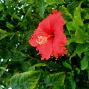 ���� Elena, ������, 39 ��� - ��������� 21 �������� 2011 � ������ �������