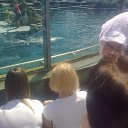 ���� ������, ���������, 41 ��� - ��������� 13 ���� 2011 � ������ ��������� �� ������