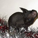 ���� ������, �����-���������, 47 ��� - ��������� 16 ������ 2011 � ������ ������� 2011�