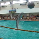 ���� �����, ������ �������� - ��������� 11 ��� 2010 � ������ �������