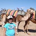 ���� ���, ����������, 24 ���� - ��������� 29 �������� 2010 � ������ �PetLove�