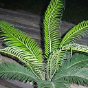  @, , 50  -  14  2010    