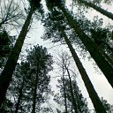 ����������� ��� �� ������� ���� ����������