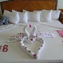 ���� Tefa, ����, 44 ���� - ��������� 29 ��� 2013 � ������ ���� ����������