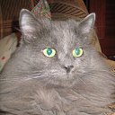 ���� Lilu, �������, 38 ��� - ��������� 24 ���� 2013 � ������ ���� ����������