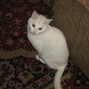 ���� �������, ������, 56 ��� - ��������� 26 ������ 2011 � ������ ���� �������� �����))�