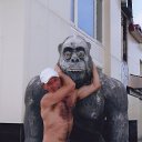 ���� ������, ������, 47 ��� - ��������� 8 ������� 2012 � ������ ���� ����������