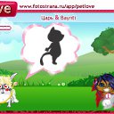  , , 50  -  24  2010   PetLove