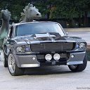 ���� ���� ������, ����, 46 ��� - ��������� 29 �������� 2012