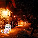 ���� Len7315, ����, 43 ���� - ��������� 27 ����� 2010 � ������ �������� ����� � ��������