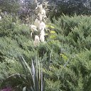 ���� Maverik_1, �������, 64 ���� - ��������� 16 ���� 2011 � ������ �1�