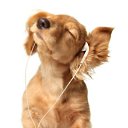  Lika,  -  3  2010      :)