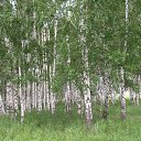 ���� ������, ��������, 63 ���� - ��������� 16 ������� 2009 � ������ ���� ����� ������