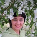 ���� �������, �������� - ��������� 15 ������ 2013 � ������ ���� ����������