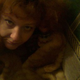 ���� ����, �����������, 57 ��� - ��������� 13 ������� 2012