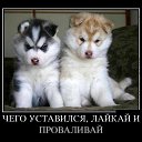 ���� ��������, ����, 52 ���� - ��������� 5 ������� 2012