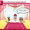  , , 45  -  31  2011   PetLove