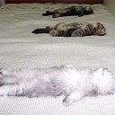 ���� ������, ������, 45 ��� - ��������� 23 ������� 2011 � ������ ���