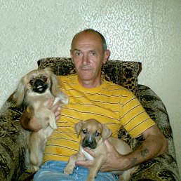 Владимир, 61, Гребенка