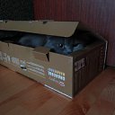 ��� ������ � �������=) �� ������� �������