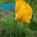 ���� ..G@lin@.., �����, 53 ���� - ��������� 10 ������� 2011 � ������ ���� ����.�