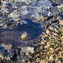 �������� ���������� �� ������� ���� ����������