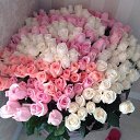 ���� �������, ������ - ��������� 7 ��� 2013 � ������ ���� ����������