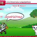  , , 41  -  2  2010   PetLove