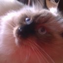   ( ),  -  22  2012     Ҹ!!!