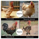 ���� ������, ������, 35 ��� - ��������� 30 ������� 2012