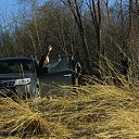 ���� ������, ������, 37 ��� - ��������� 3 ��� 2013