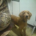 ���� �������, ����� - ��������� 20 ���� 2012 � ������ ������ �� ����